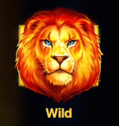 Wild en Lion Gems